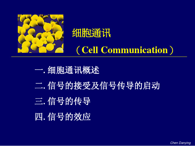 普通生物学 细胞通讯