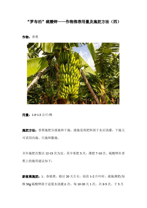 “罗布泊”硫酸钾——作物推荐用量及施肥方法(四)