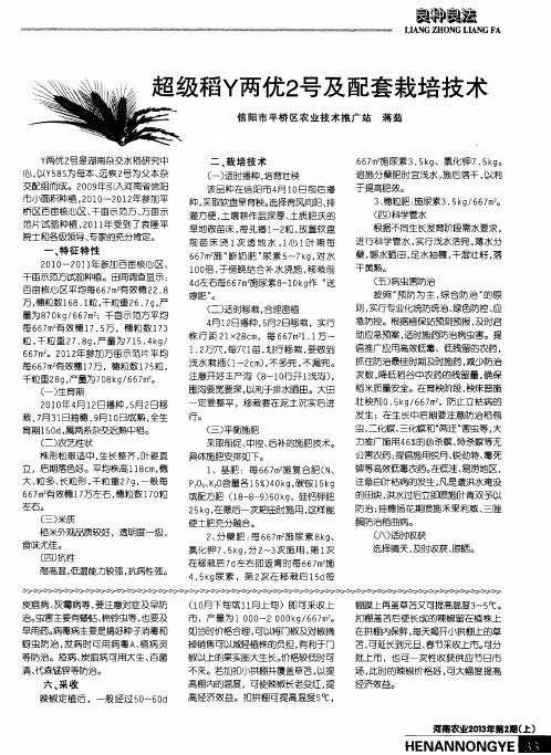 超级稻Y两优2号及配套栽培技术