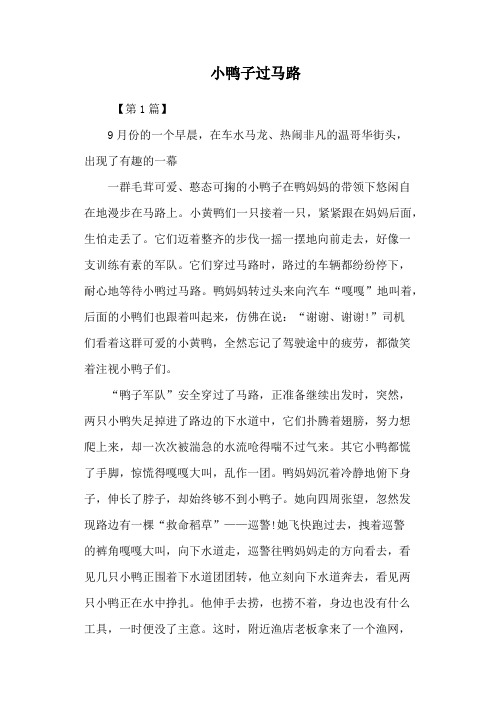 小鸭子过马路
