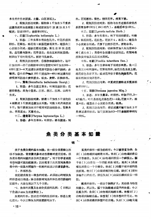 鱼类分类基本知识