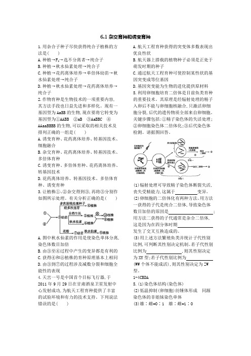 高中生物必修二 遗传与进化-高中必修2-第6章第1节杂交育种与诱变育种-练习题