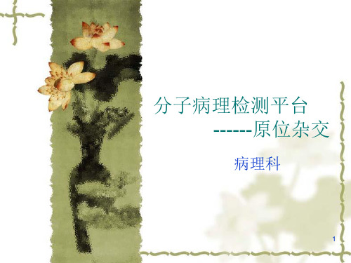 分子病理检测平台原位杂交PPT课件