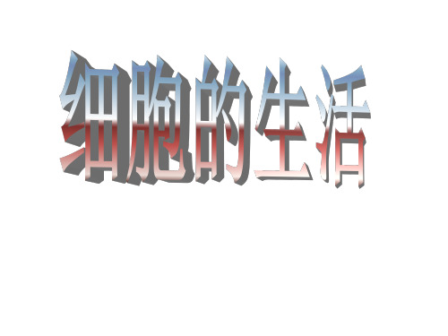 《 细胞生活需要物质和能量》ppt课件