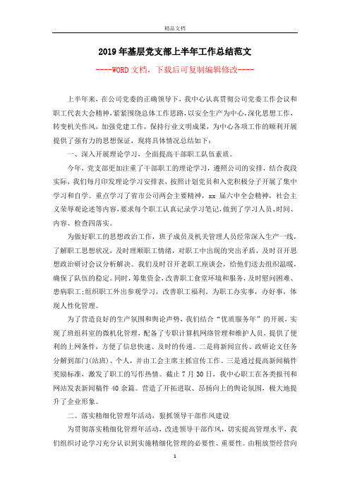 2019年基层党支部上半年工作总结范文