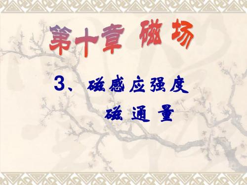 磁感应强度、磁通量.课件