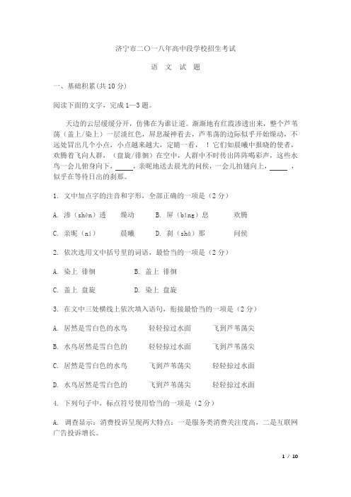 2018年山东济宁市中考语文真题