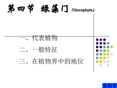 1.2 绿藻门