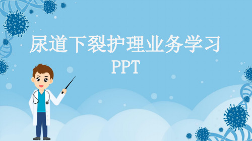 尿道下裂护理业务学习PPT
