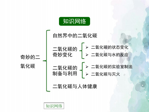沪教版化学-九年级上册-《奇妙的二氧化碳》复习课件