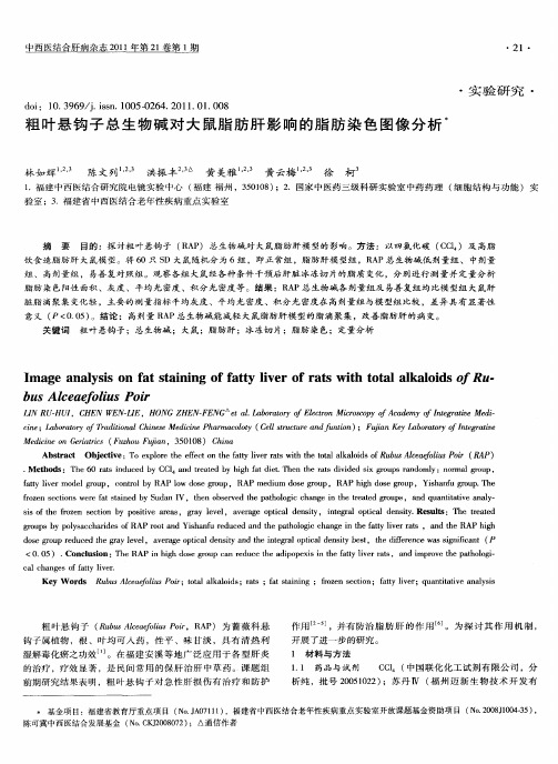 粗叶悬钩子总生物碱对大鼠脂肪肝影响的脂肪染色图像分析