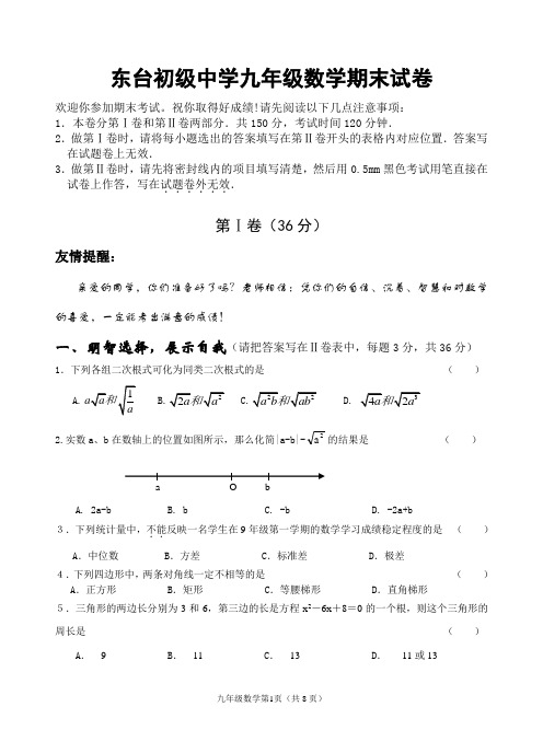 东台初级中学九年级数学期末试卷