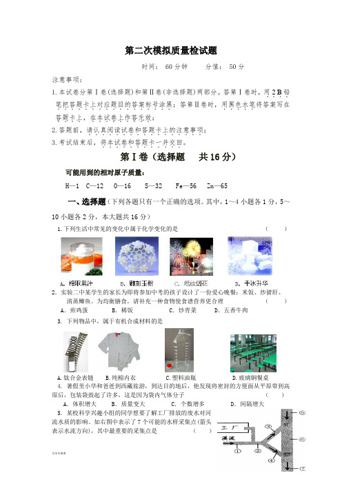 鲁教版化学九年级下册第二次模拟质量检试题.docx