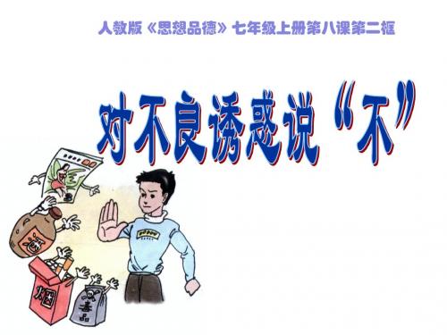 8.2对不良诱惑说“不”3