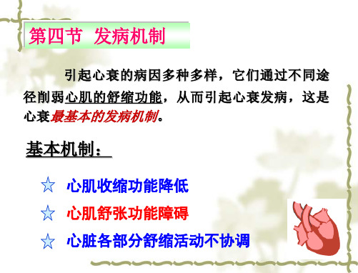病理生理学：15心功能不全-2