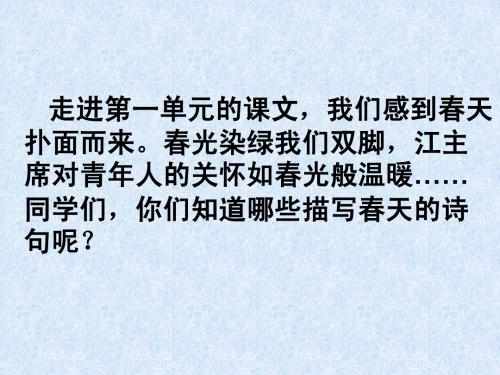 苏教版语文五下   3只拣儿童多处行