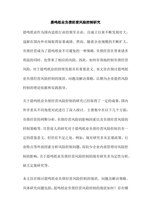 晨鸣纸业负债经营风险控制研究
