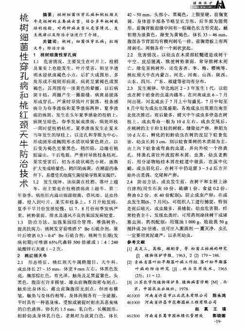 桃树细菌性穿孔病和桃红颈天牛防冶技术