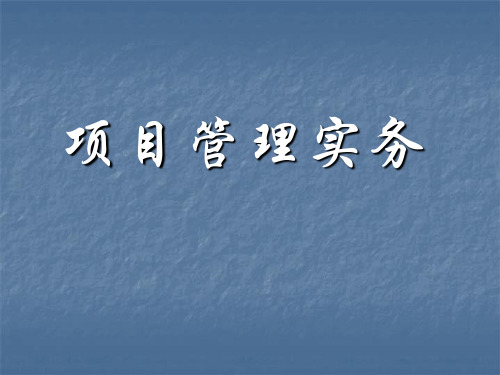 项目管理实务课件(PPT117张)