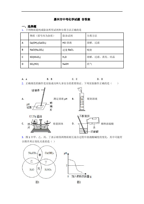 嘉兴市中考化学试题 含答案
