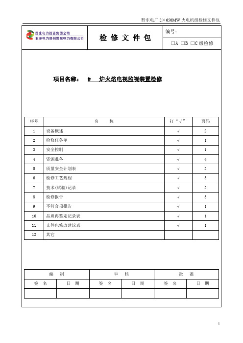 RK009 火焰电视监视装置检修