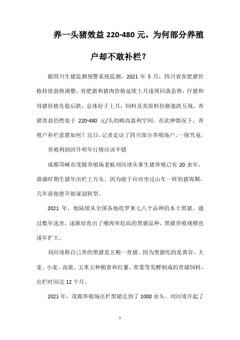 养一头猪效益220-480元,为何部分养殖户却不敢补栏？