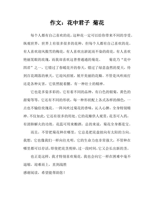 作文：花中君子 菊花