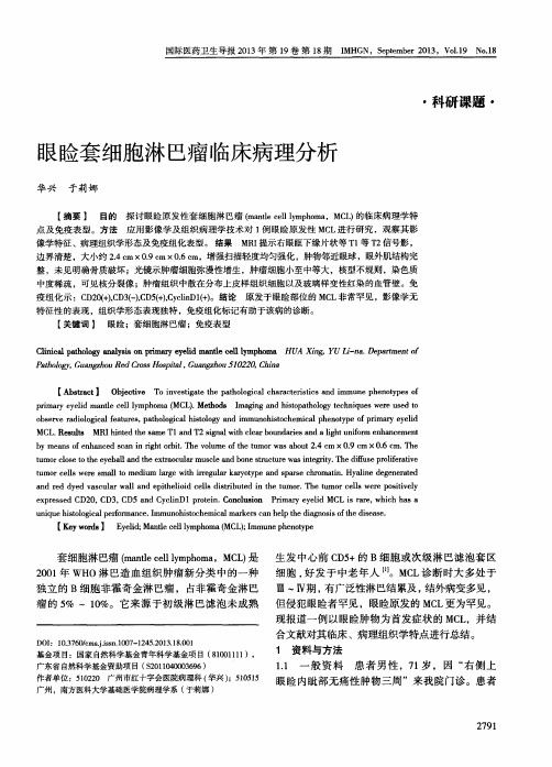 眼睑套细胞淋巴瘤临床病理分析