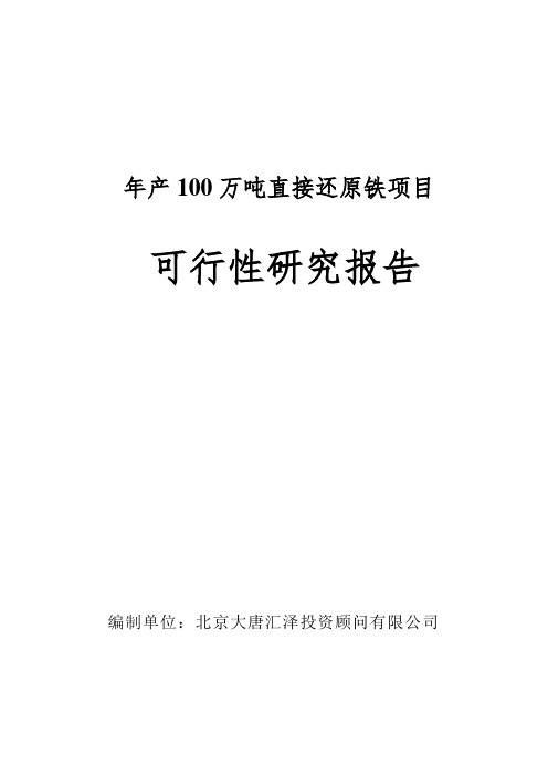 年产100万吨直接还原铁项目可行性研究报告