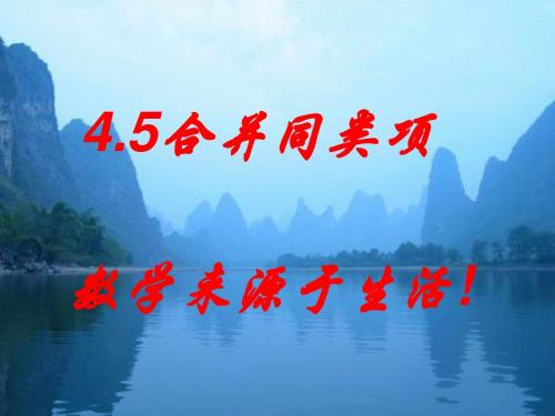 浙教版七年级上册数学第四章：4.5合并同类项 课件 (共29张PPT)
