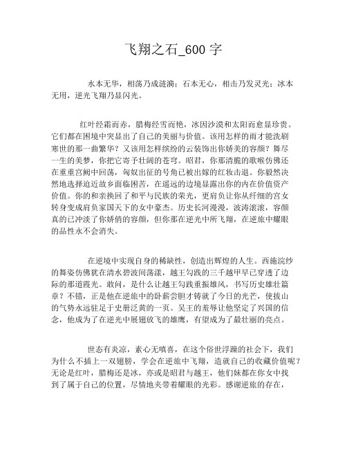 飞翔之石_600字