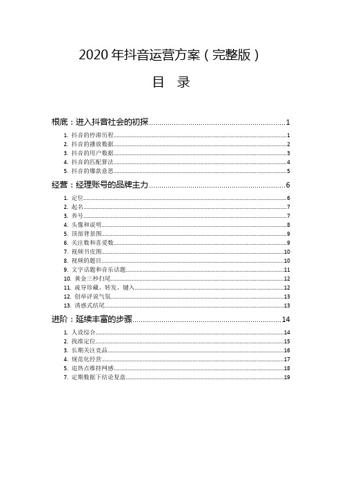 2020年抖音运营方案