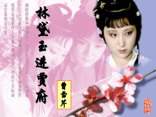第1课《林黛玉进贾府》(共33张PPT)