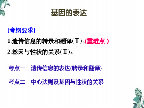 高中生物人教版《基因的表达》PPT上课课件