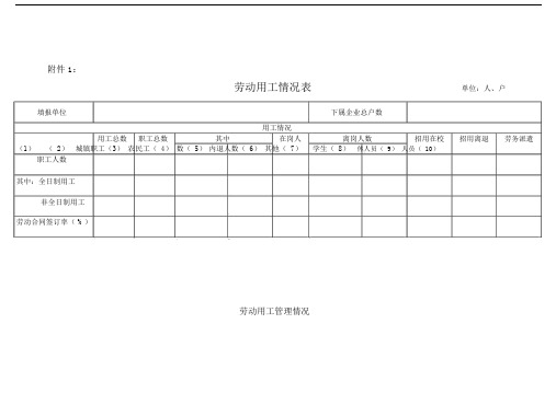 劳动用工情况表.doc