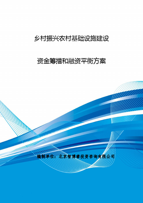 乡村振兴农村基础设施建设资金筹措和融资平衡方案(编制模板)