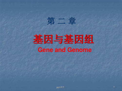 医学分子生物学基因与基因组ppt课件