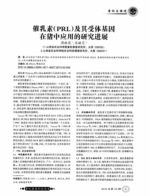 崔乳素(PRL)及其受体基区在猪中应用的研究进展