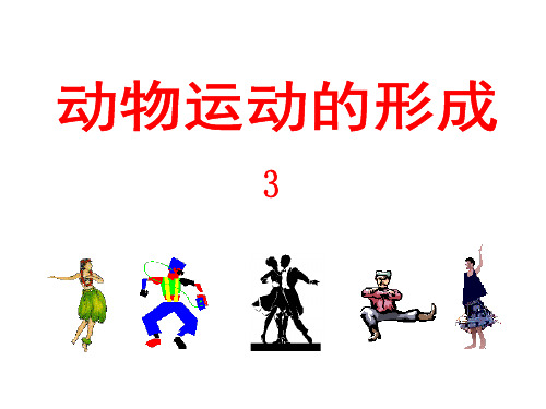 北师大版八上动物运动的形成示范 PPT(教学课件)