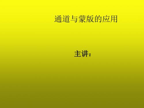 Photoshop CS3图形图像处理模块七   通道与蒙版的应用