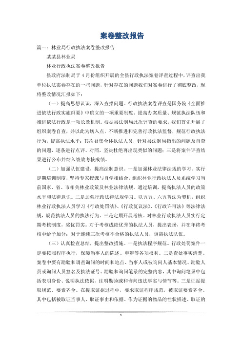 案卷整改报告