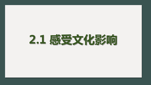 【人教版高中政治必修】感受文化影响PPT优质课件1
