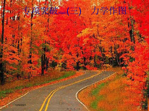 中考物理总复习 第一编 知识方法固基 专项突破3 力学作图课件