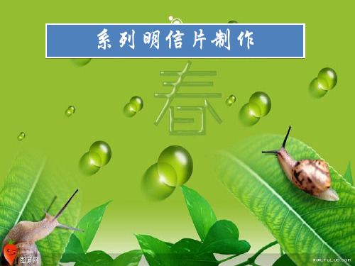 信息技术明信片制作资料