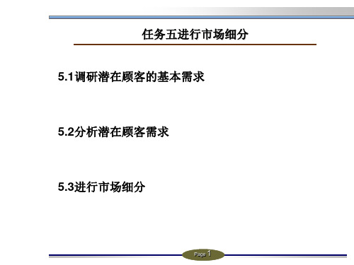 第五章 进行市场细分 《现代市场营销》PPT课件