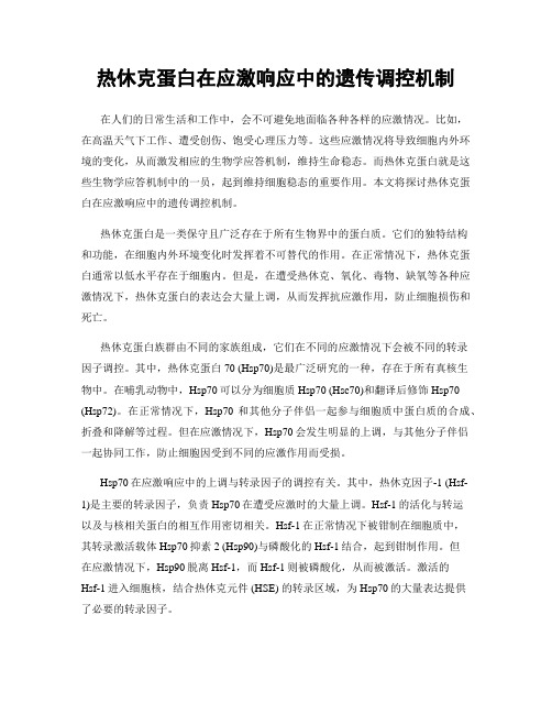 热休克蛋白在应激响应中的遗传调控机制