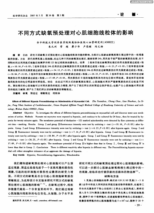 不同方式缺氧预处理对心肌细胞线粒体的影响