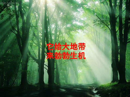 二氧化碳制取的研究优质课比赛.ppt