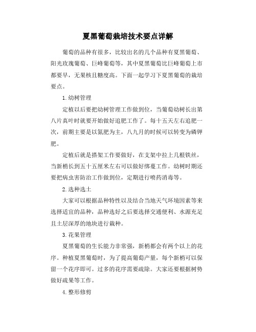 夏黑葡萄栽培技术要点详解