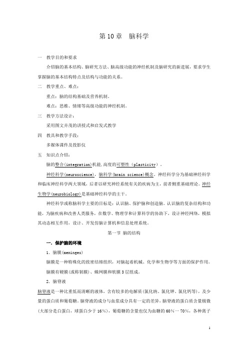 第10章 脑科学